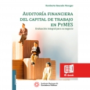 AUDITORÍA FINANCIERA DEL CAPITAL DE TRABAJO EN PYMES - E-BOOK