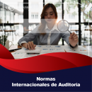 NORMAS INTERNACIONALES DE AUDITORÍA