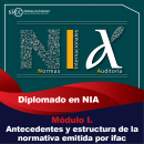 MODULO I. ANTECEDENTES Y ESTRUCTURA DE LA NORMATIVA EMITIDA POR IFAC