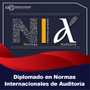 DIPLOMADO VÍA INTERNET EN NORMAS INTERNACIONALES DE AUDITORÍA